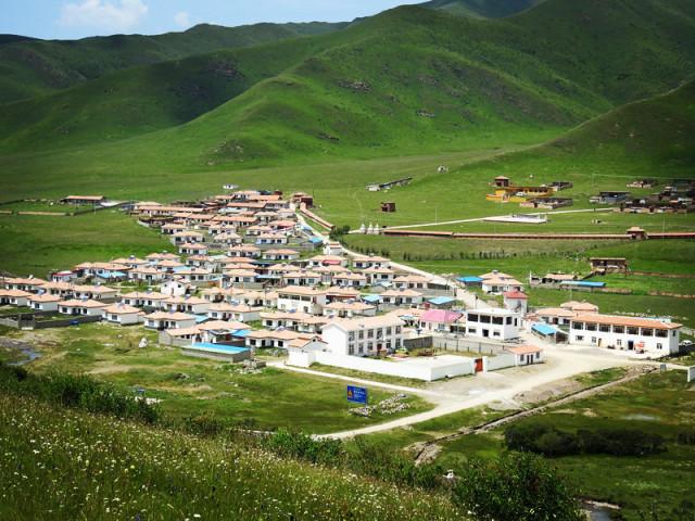 海关律师、走私辩护律师邵丹案例评析：走私朝鲜煤炭的罪与罚1