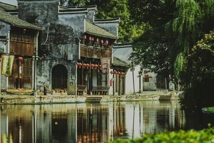 财经V视丨热辣的生活：“汨罗大户”发工资 村民在育秧大棚领现金